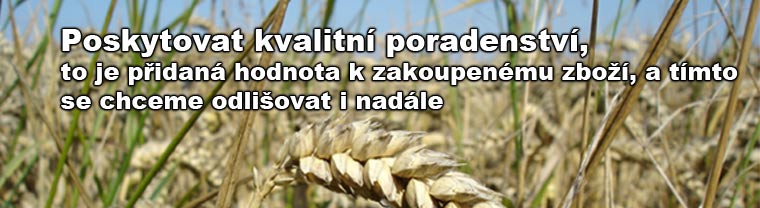 Poradenství